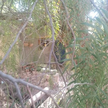 ホテル La Casita ティルカラ エクステリア 写真