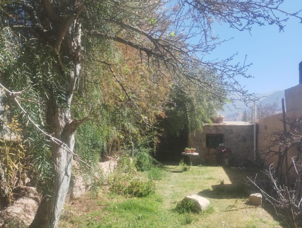 ホテル La Casita ティルカラ エクステリア 写真