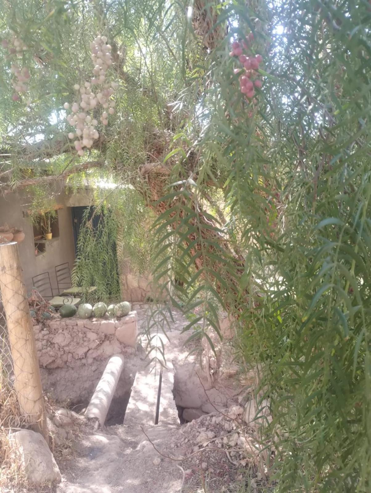 ホテル La Casita ティルカラ エクステリア 写真