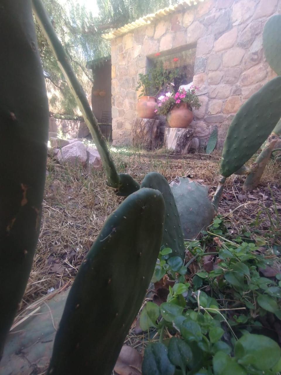 ホテル La Casita ティルカラ エクステリア 写真