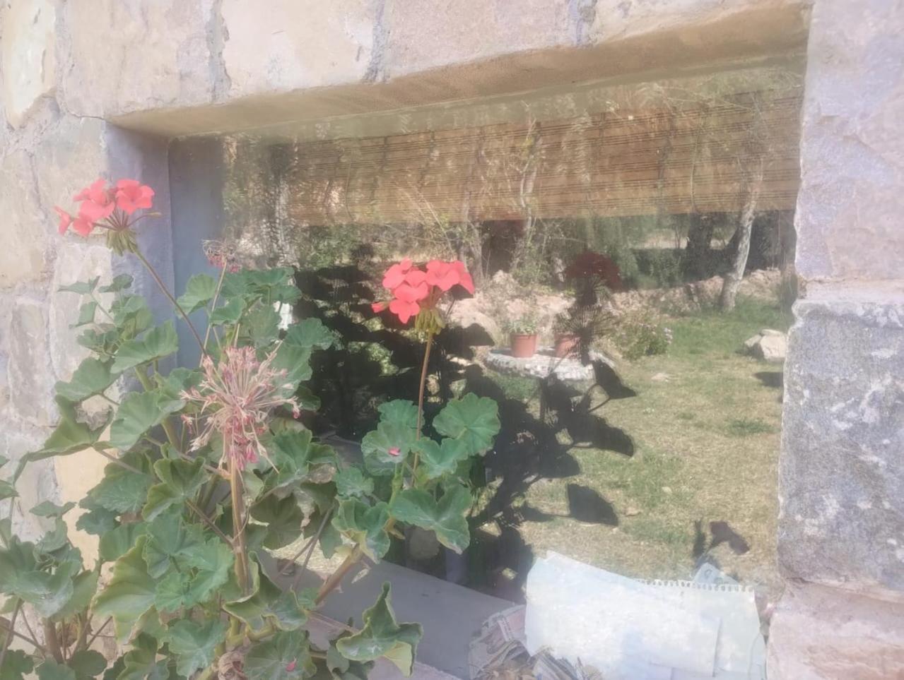 ホテル La Casita ティルカラ エクステリア 写真