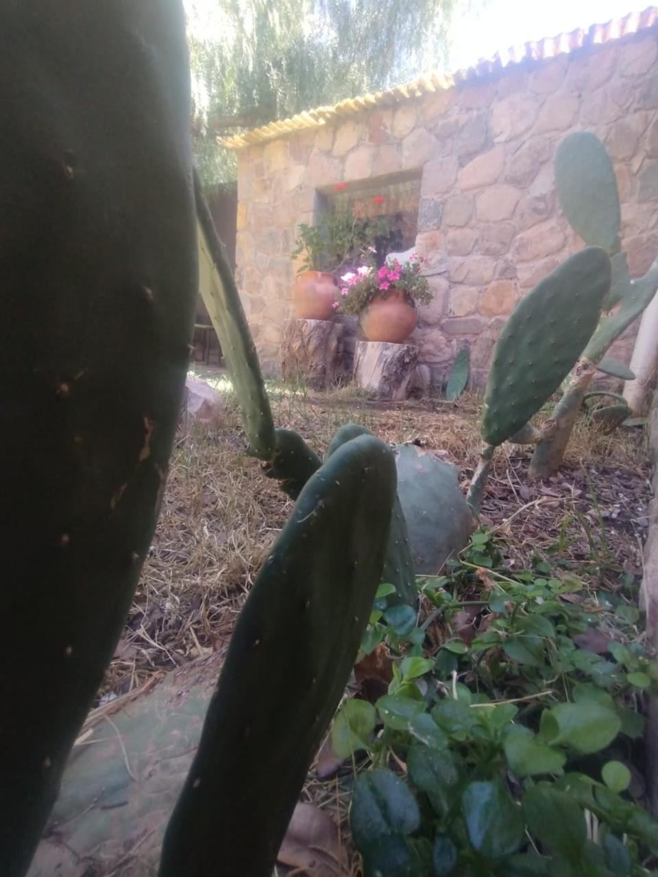 ホテル La Casita ティルカラ エクステリア 写真